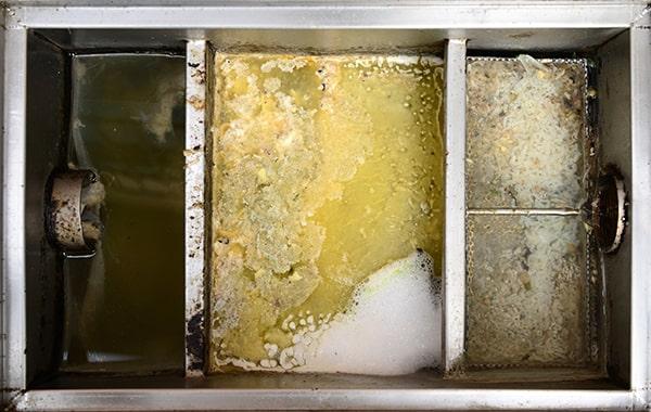 procrastinating on regular grease interceptor cleaning can lead to plumbing concerns, foul odors, and health code violations